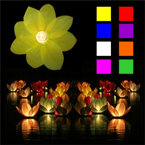 Wasserlampion Lotusblüte farbig sortiert